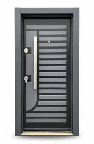 ALP011 Çelik Kapı